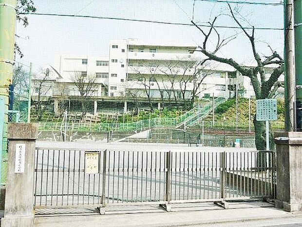 横浜市立屏風浦小学校：240ｍ（徒歩3分）