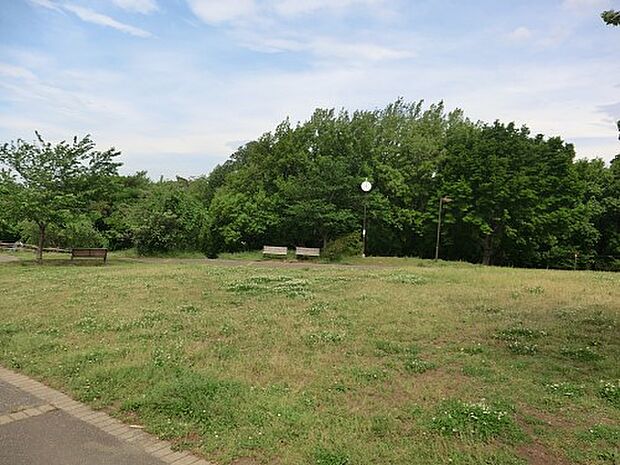 上星川あおぞら公園：1200ｍ（徒歩15分）