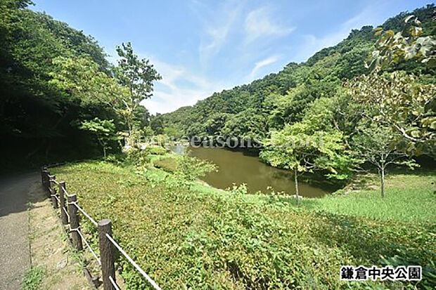 鎌倉中央公園まで約1180m