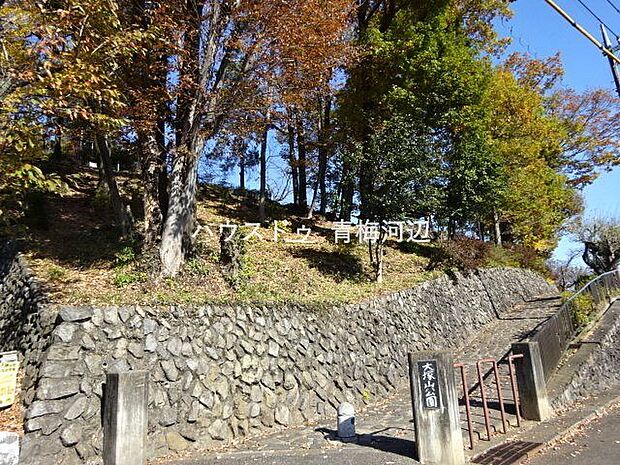 大塚山公園大塚山公園自然の残る公園です 210m