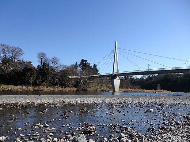 多摩川にかかる鮎美橋（約800m）