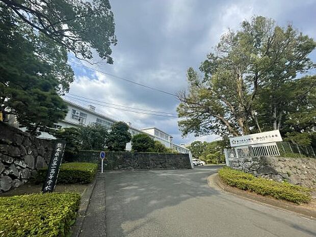 【高校】熊本県立第一高校まで1735ｍ