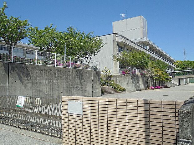 【中学校】横浜中学校まで358ｍ