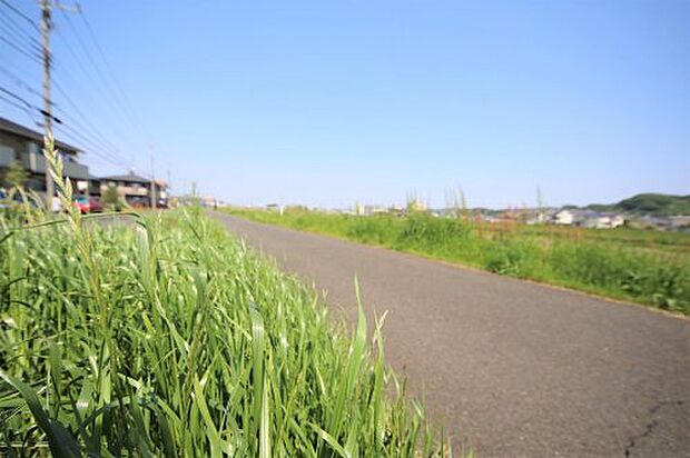 【公園】日野緑地まで779ｍ