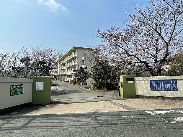 北九州市立八児小学校（815m）