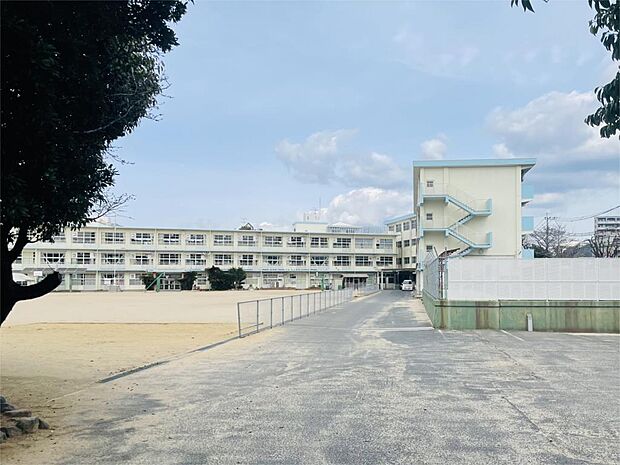 北九州市立三郎丸小学校（708m）