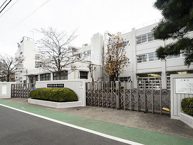 板橋区立赤塚小学校（230m）