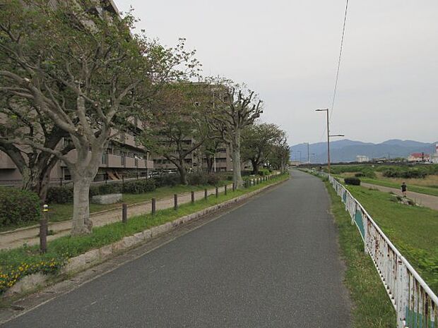 川沿いのランニングコースはどうですか♪