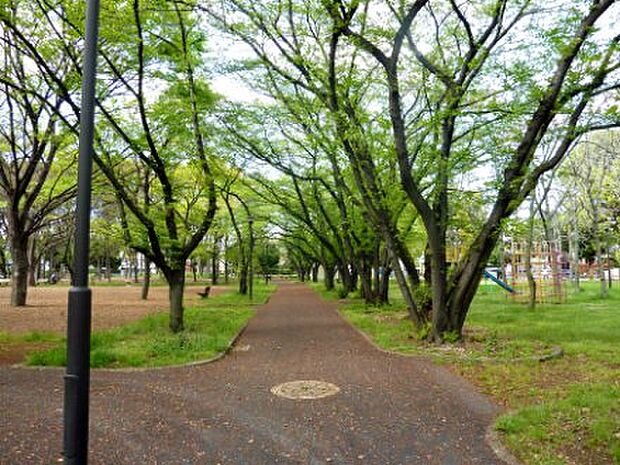 【公園】江北公園まで978ｍ