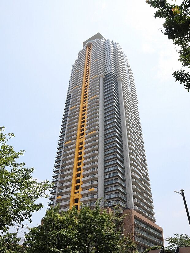 55階建　高層タワーマンション