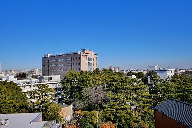 外廊下からの北東向き眺望（千葉大学キャンパス）　眺望は永続的に保証されるものではありません。