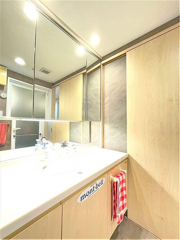 3面鏡付きの洗面化粧台、入口はスペースを圧迫しない引き戸で便利