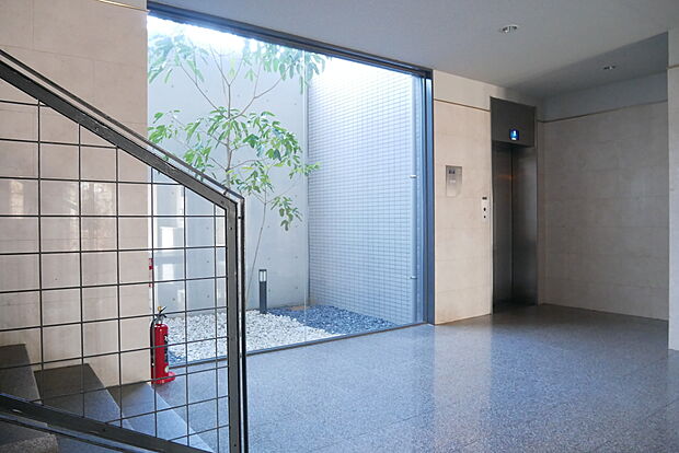 エレベーター横には植栽を鑑賞できるライトコートがあります。