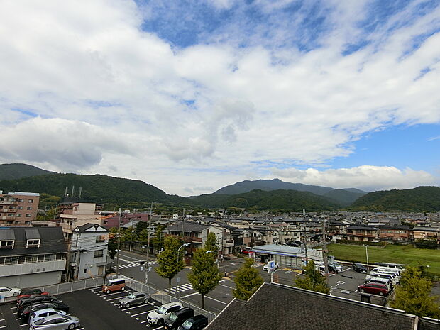 四季のある京都嵯峨を感じられます。