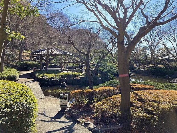 【大磯城山公園】春には桜、夏には新緑、秋には紅葉、冬には散った葉の間から垣間見れる美しい空が愉しめる公園です。