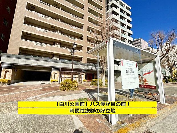 ◇物件目の前に「白川公園前」バス停あり、名古屋までたったの2駅！名古屋駅・栄・金山にアクセス可！