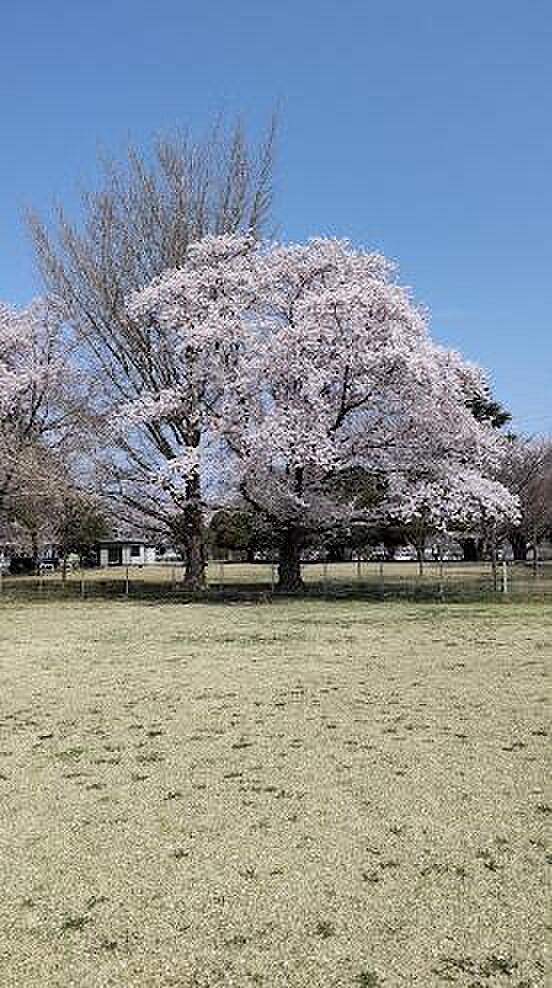 【公園】神立公園まで1434ｍ