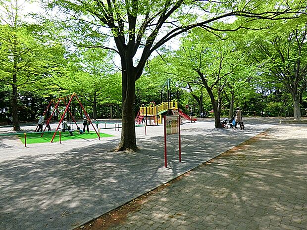 綱島公園　300ｍ