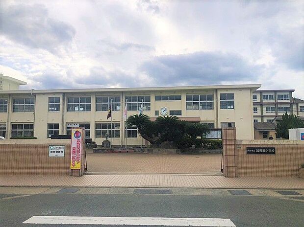 加布里小学校まで約634ｍ　徒歩約8分