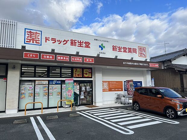 新生堂加布里店まで約427ｍ　徒歩約6分