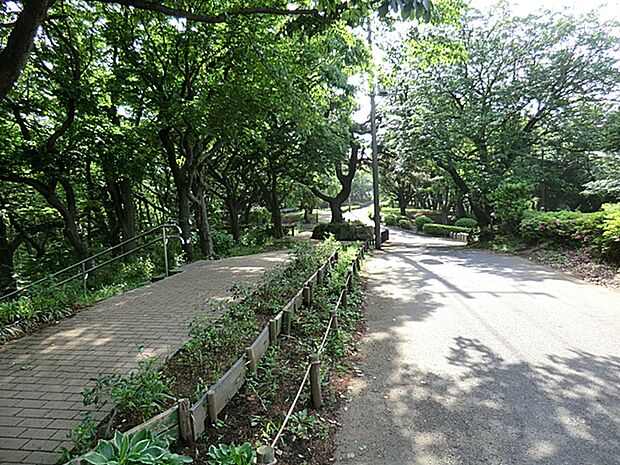横浜市役所 環境創造局 神の木公園　4670ｍ