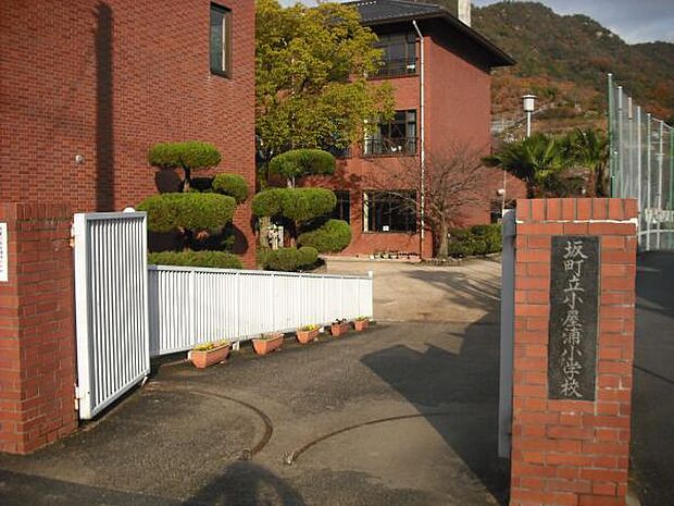 坂町立小屋浦小学校？303m？