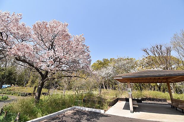 蘆花恒春園：徒歩2分（160ｍ）