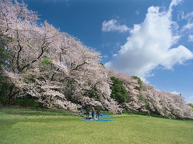 仙桜公園まで約140ｍ