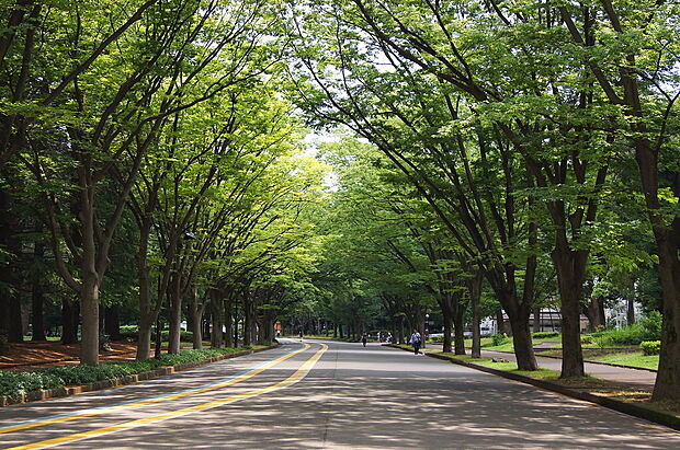 緑豊かな「駒沢オリンピック公園」まで徒歩4分。