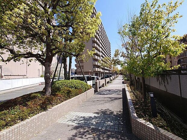 サーパス南千田橋(4LDK) 11階のその他画像