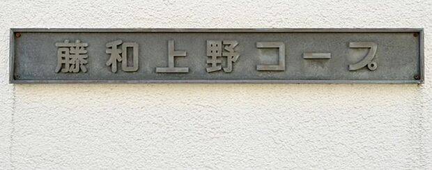 藤和上野コープ(1K) 5階のその他画像