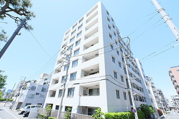 パークハウス深川高橋(複数線路利用可の資産性×南東角住戸×(2LDK) 1階のその他画像