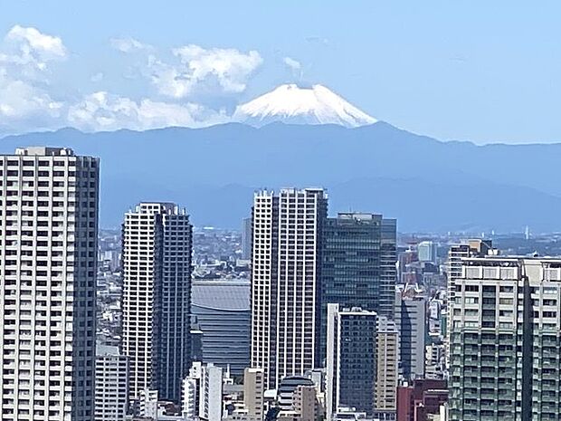 リビングから見える絶景の眺望は天気が良い日は富士山を見ることができます。