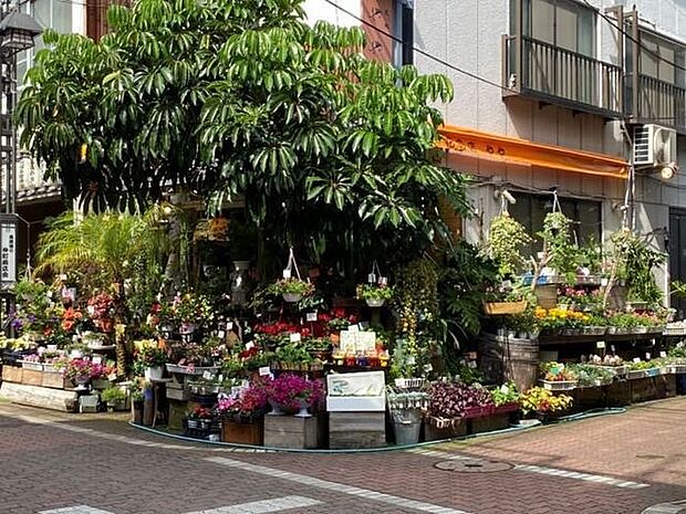花の店　ややお店の前には季節の花、定番のお花、観葉植物などが綺麗に並んでいて街のフラワーショップとして、お花だけでなく温かい雰囲気も提供してくれると、地元で評判のお花屋さん。 660m