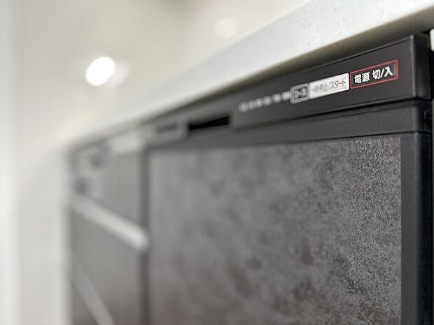 新規交換されたシステムキッチンには食器洗い乾燥機が完備されています。