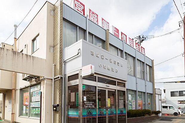 宮城第一信用金庫小松島支店 徒歩9分。 710m