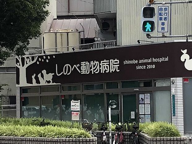 【動物病院】しのべ動物病院まで700ｍ