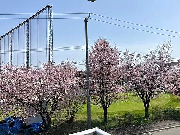≪眺望≫バルコニーからの眺望。春には満開の桜を毎日見ることができます。