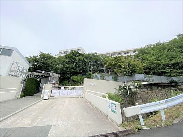 【大学】私立神戸薬科大学まで910ｍ