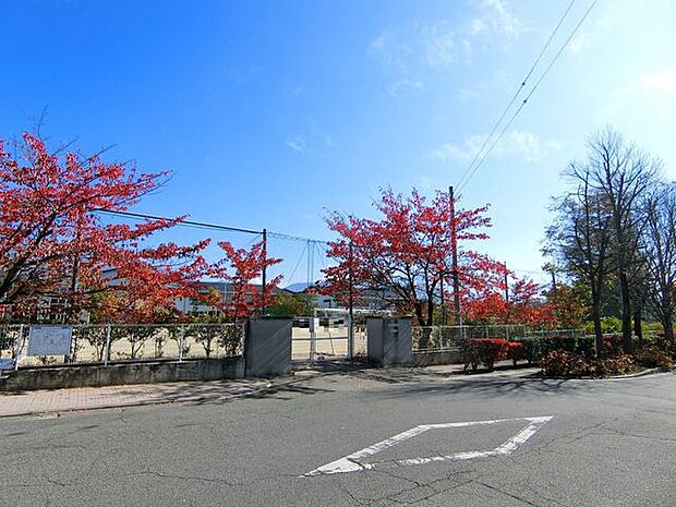 開智小学校【開智小学校】南に松本城、北に重要文化財旧開智学校、東に美ヶ原、西に常念岳松本の宝に囲まれた小学校です。 990m