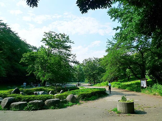 池や森のある広大な敷地にプール、テニスコートなどの施設が点在する県立公園。