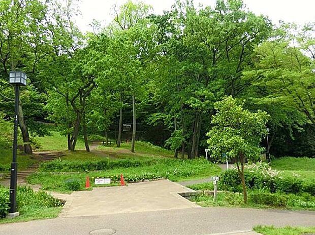 広大な敷地面積の中に里山や古民家を持つ自然豊かな公園です。富士山もきれいに見えます。近隣のたくさんの園児が遠足に来ています。