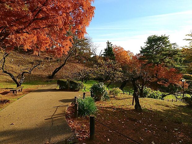 園内には梅林があり、梅の名所として知られている公園。毎年早春になると大勢の観梅客が訪れて賑わっています。桜や新緑など、四季折々の違った彩りを楽しめる公園です。