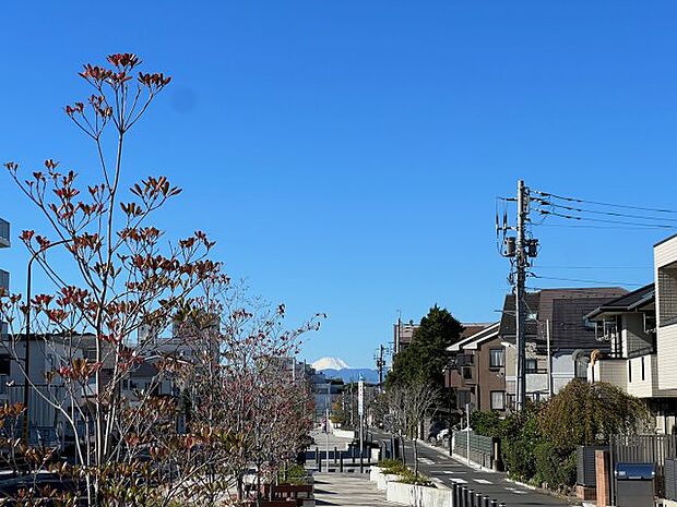 大岡山付近の道路から富士山を望む