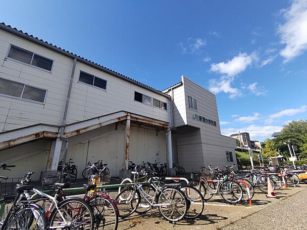 【周辺施設】新潟大学前駅まで約1200ｍ（徒歩約15分）です。毎日の通勤、通学の送り迎えも負担にならない距離。運動の為に徒歩や自転車で駅まで行くことも良いですね。