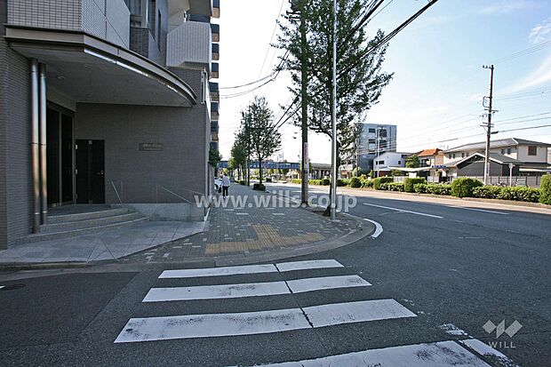 敷地北側の前面道路