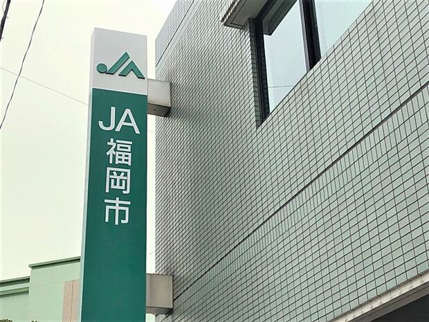 ＪＡ福岡市東部三苫まで約278ｍ