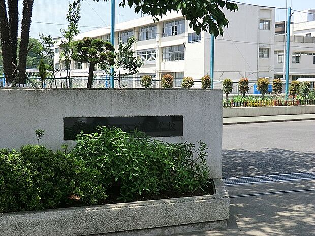 小学校 550m 東村山市立八坂小学校