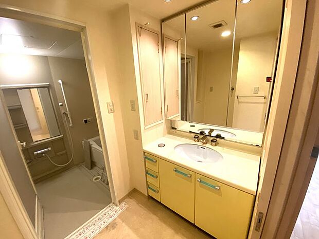 三面鏡の奥には、化粧品等をたっぷり収納でき、清潔感のある洗面室を保つことができます。