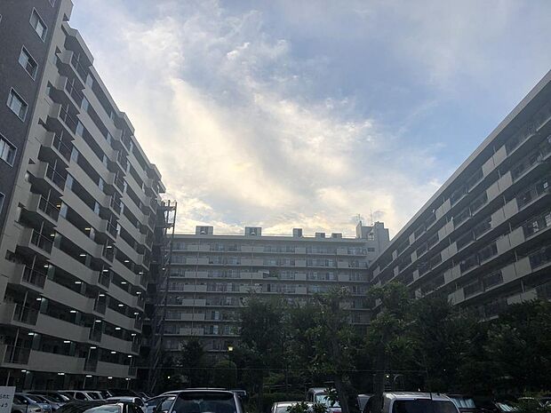 多摩稲城マンションB棟(3LDK) 10階/1004の外観